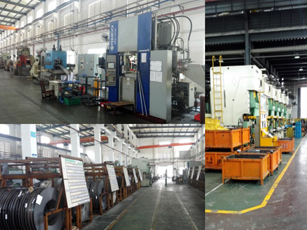 �����淶�ĳ���